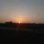 Amodeo