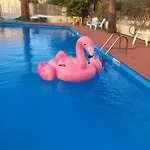 Amodeo Paceco