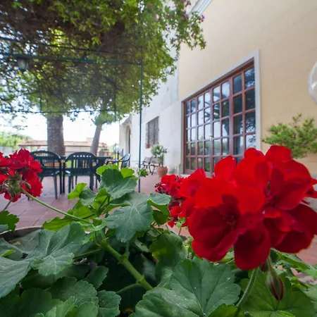 Amodeo 2* Пачеко