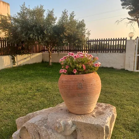 Amodeo 2* Пачеко