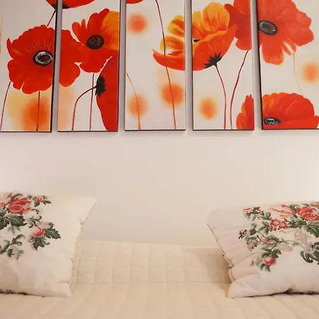 Amodeo 2* Пачеко