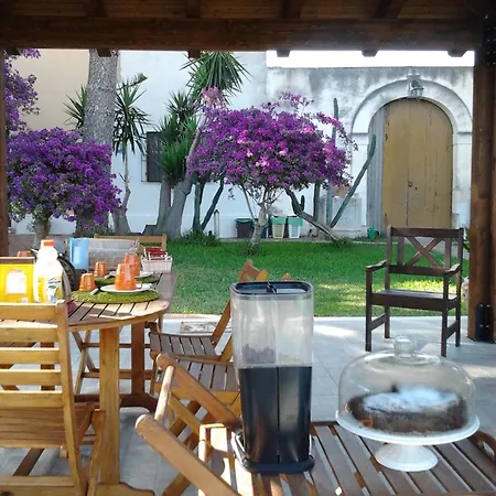Amodeo Paceco