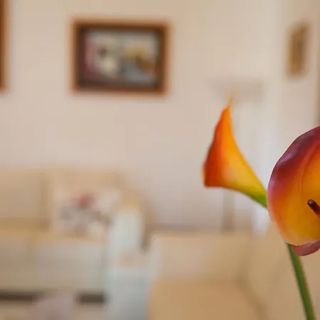 Amodeo Bed & Breakfast Paceco