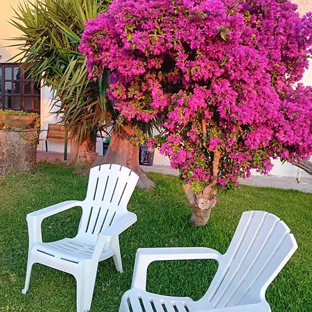 Bed and breakfast Amodeo Paceco