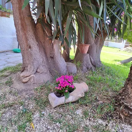 Amodeo فندق مبيت وإفطار 3*