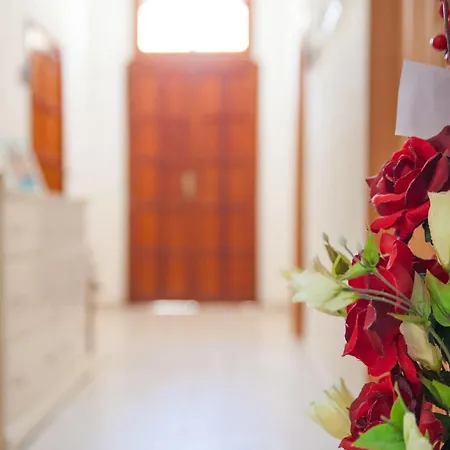 Bed & Breakfast Amodeo Paceco