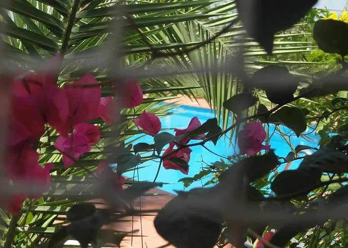 住宿加早餐酒店 Amodeo