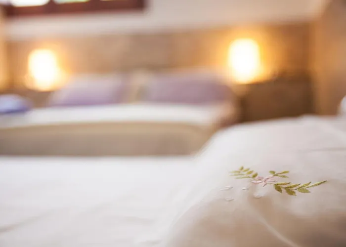 Amodeo 住宿加早餐酒店 帕瑟科