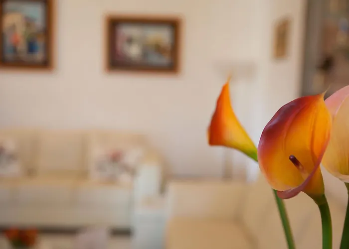 Amodeo 住宿加早餐酒店 帕瑟科