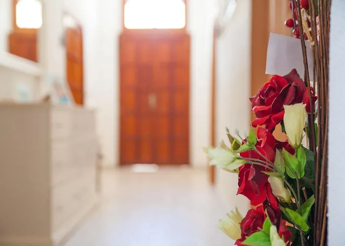 住宿加早餐酒店 Amodeo 帕瑟科